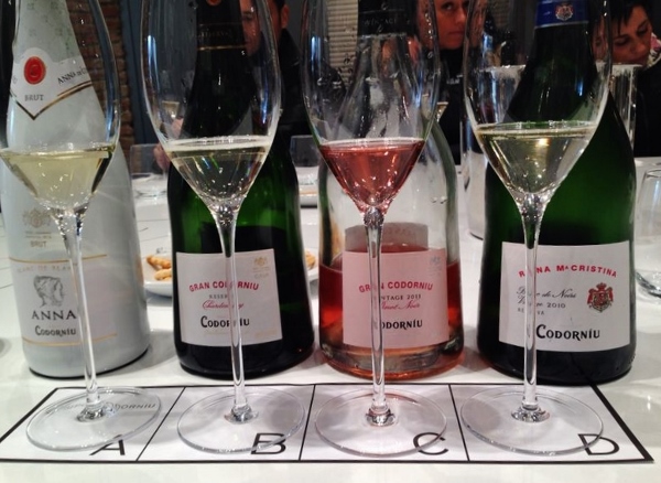 Visita_bloggers_celler_jaume_codorniu_